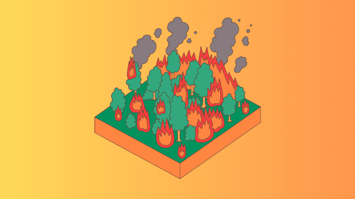 wildfire-777x437