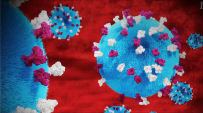 Screenshot 2026-02-11 135653