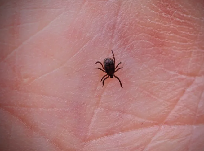 Screenshot 2026-04-22 092107